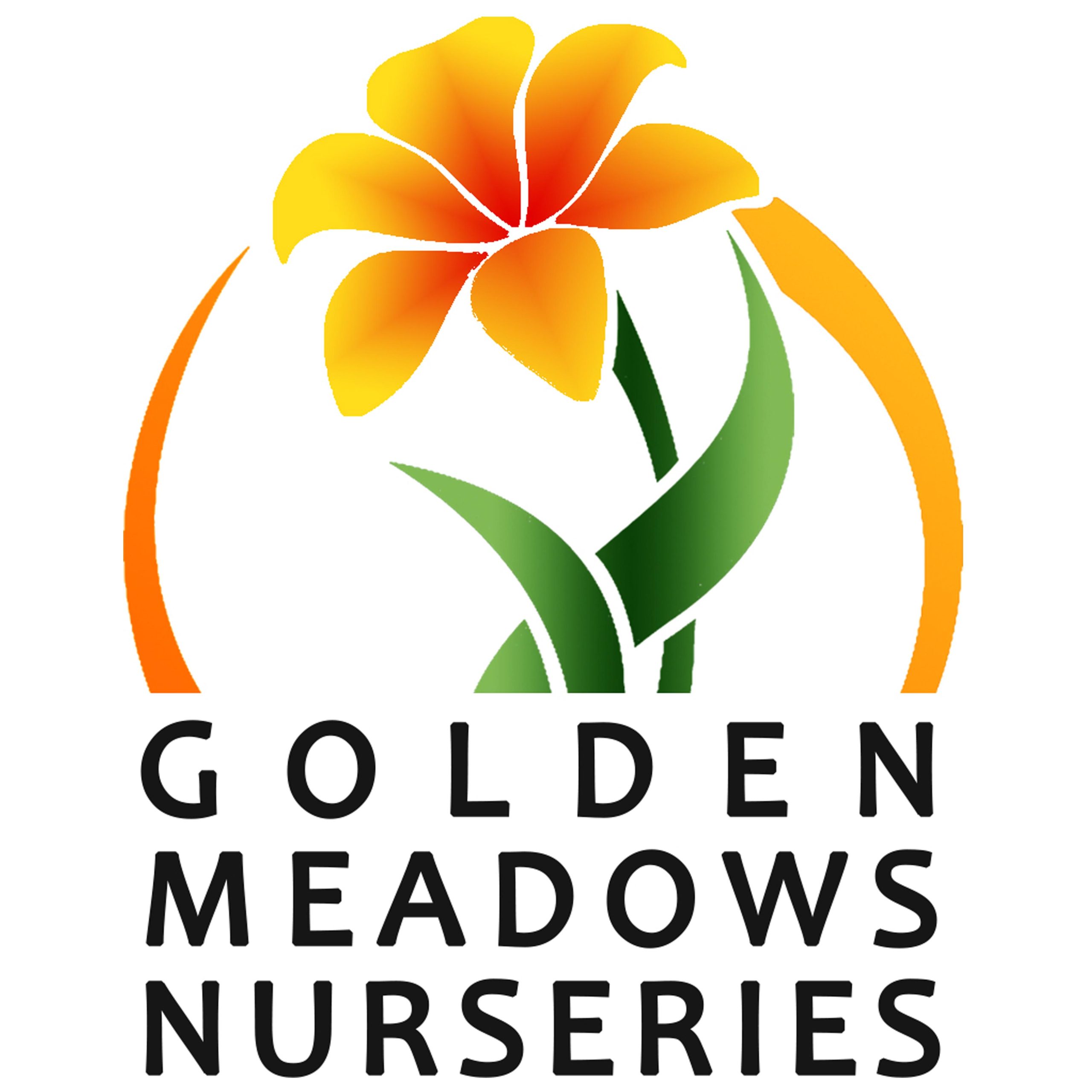 Golden Meadows Nursery(PTY)LTD