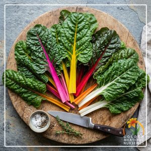 Spinach Swiss Chard ‘Bright Lights’